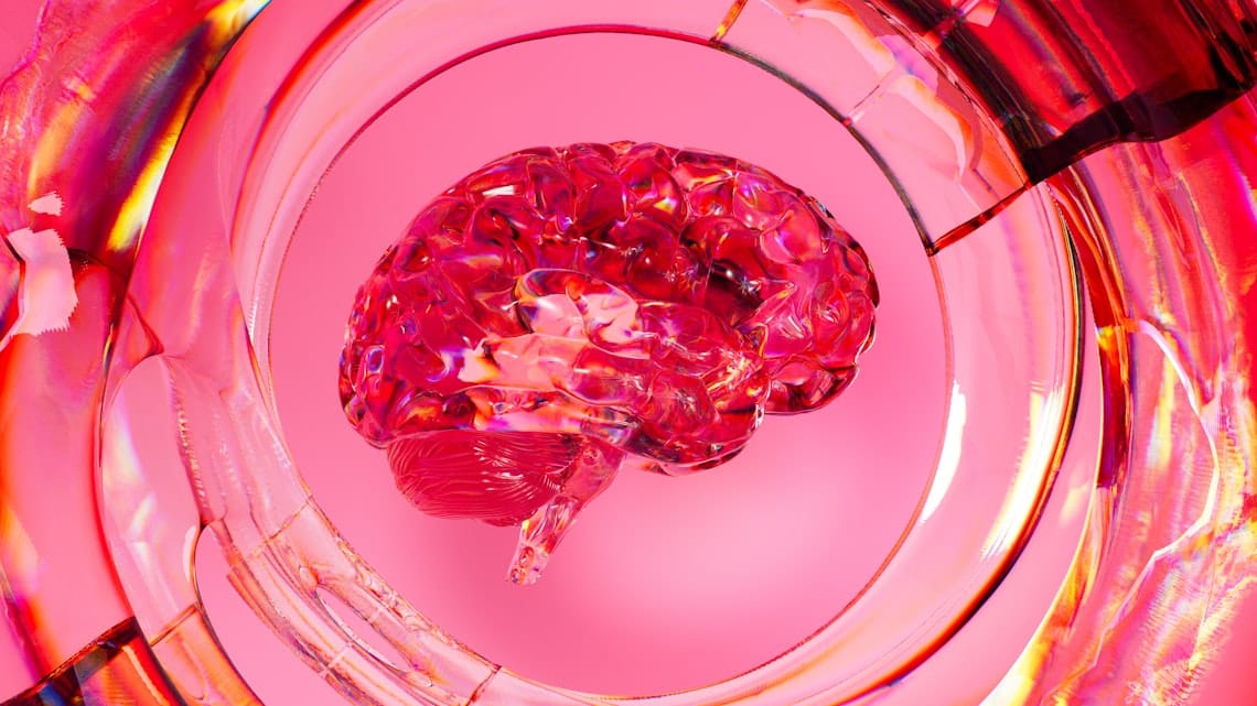 Sexinteligence: 6 pilířů pro celoživotní sexuální pohodu